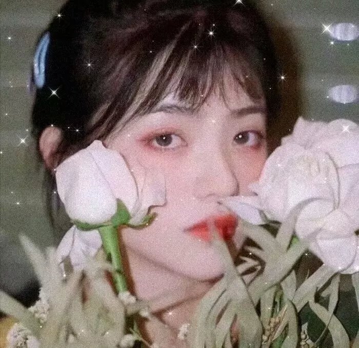 霹雳修女