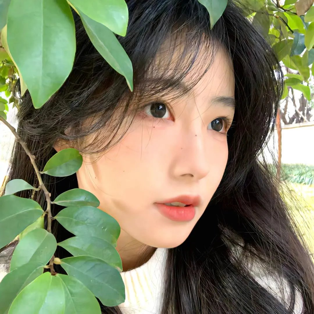 特技人